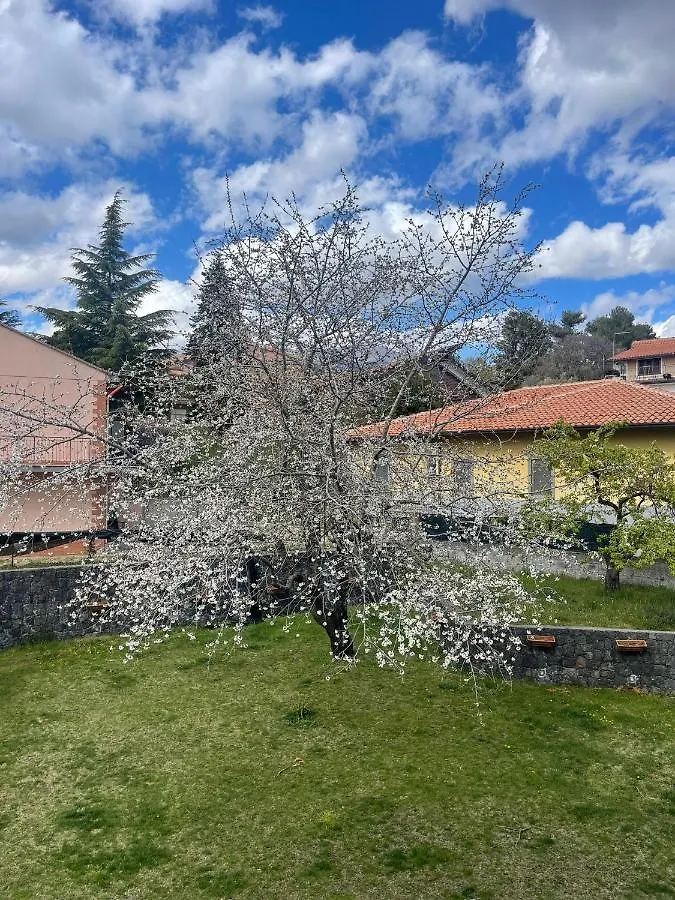 Appartement Etna Sotto Il Ciliegio à Ragalna